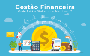 Gestao Financeira Onde Esta O Dinheiro Do Meu Lucro Blog Liz Assessoria Financeira - Contabilidade em São Gotardo -MG